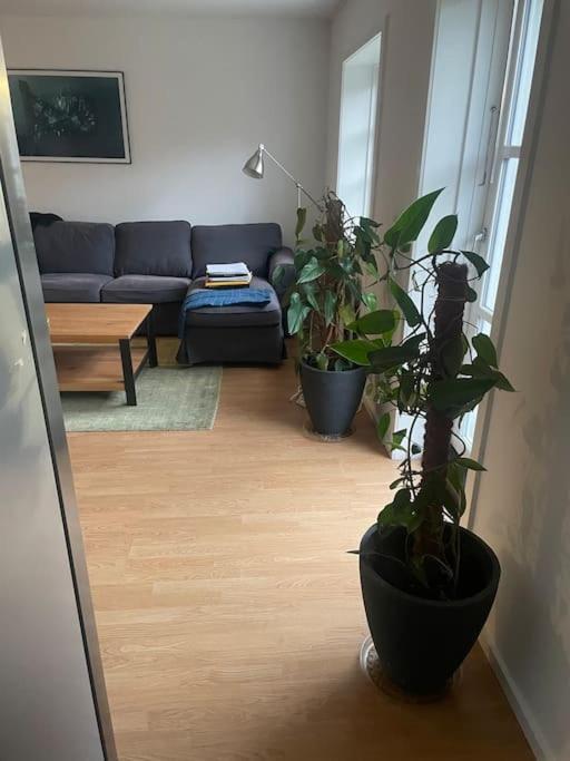 2 Bedroom Apartment Near The Sea تيزفيلدليدج المظهر الخارجي الصورة